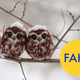Illustration for article titled 86 Viral Images From 2014 That Were Totally Fake